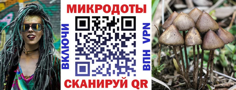 Купить где  Великий Устюг  Псилоцибиновые грибы Psilocybine cubensis 