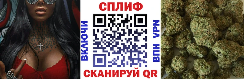Купить где  Великий Устюг  Бошки Шишки семена 